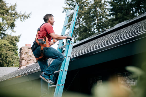 Best Asphalt Shingle Roofing  in Bigfork, MT