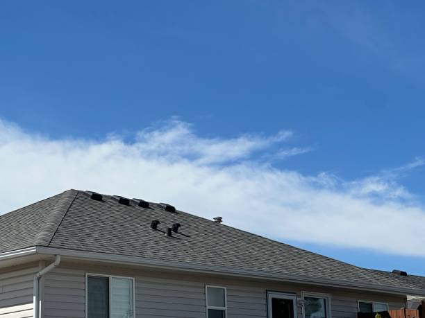 Best Flat Roofing  in Bigfork, MT