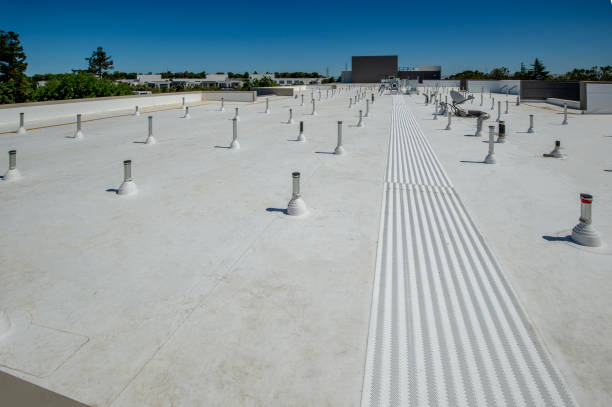 Best Steel Roofing  in Bigfork, MT